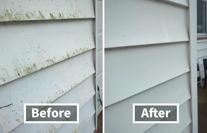 Don't Let Mold And Mildew Ruin Your Home's Vibe!  This   <a Style="Display:inline;" Href="Https://Www.amazon.com/Rmr-86-Instant-Mildew-Remover-Gallon/Dp/B07x7gsfxz?th=1&linkcode=ll1&tag=bpflamingo-20&linkid=da783d3b597ee64b280d85ef6551ca51&language=en_us&ref_=as_li_ss_tl" Target="_blank"><span Style="Font: Inherit; Color: #d74b1f;"> Scrub-Free Formula</Span> Will Have Your Surfaces Looking Like New Again
