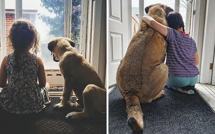 Photos Are 6 Years Apart. They're Such A Sweet Pair