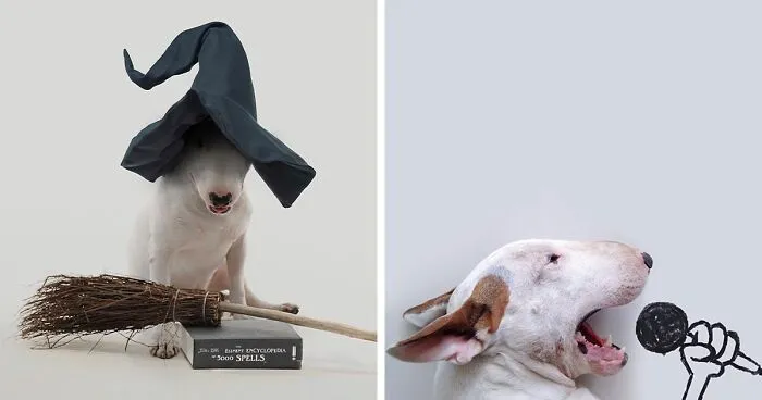 Guy Whose Wife Left Him With Nothing But A Dog Continues To Put Him In Fun Scenarios (47 New Pics)