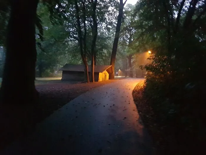 Morning Walk