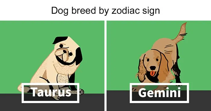 Top Dog Breeds Favored By Celebrities