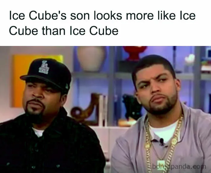 50 Hilariously Accurate Celebrity Memes