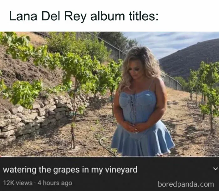 50 Hilariously Accurate Celebrity Memes