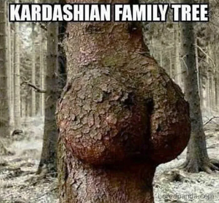 50 Hilariously Accurate Celebrity Memes