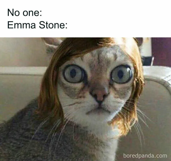 50 Hilariously Accurate Celebrity Memes
