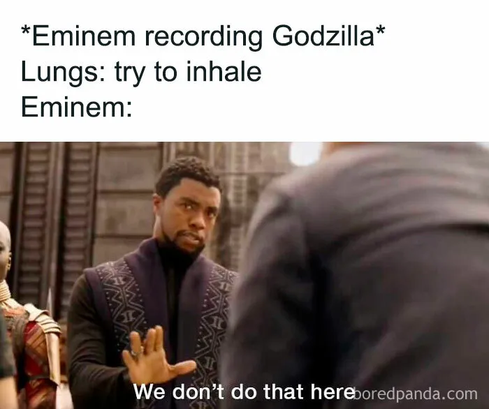 50 Hilariously Accurate Celebrity Memes