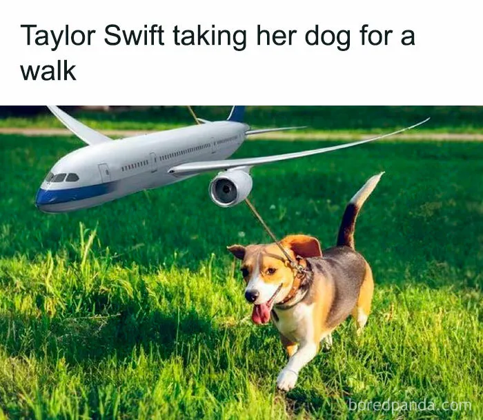 50 Hilariously Accurate Celebrity Memes