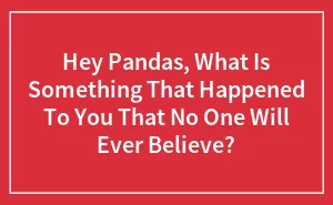 Hey Pandas, What Is Something That Happened To You That No One Will Ever Believe? (Closed)