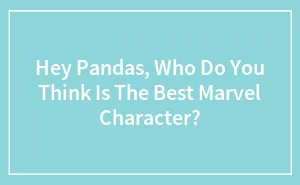 Hey Pandas, Who Do You Think Is The Best Marvel Character? (Closed)