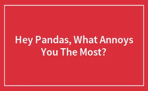 Hey Pandas, What Annoys You The Most? (Closed)