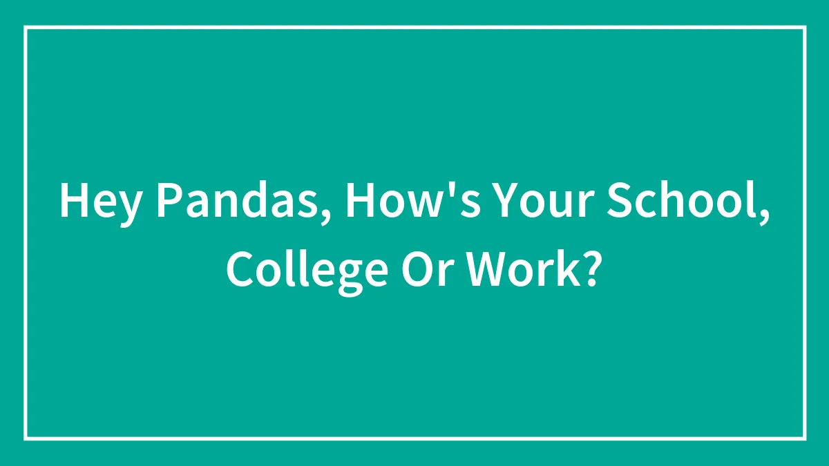 Hey Pandas, How's Your School, College Or Work? (Closed)