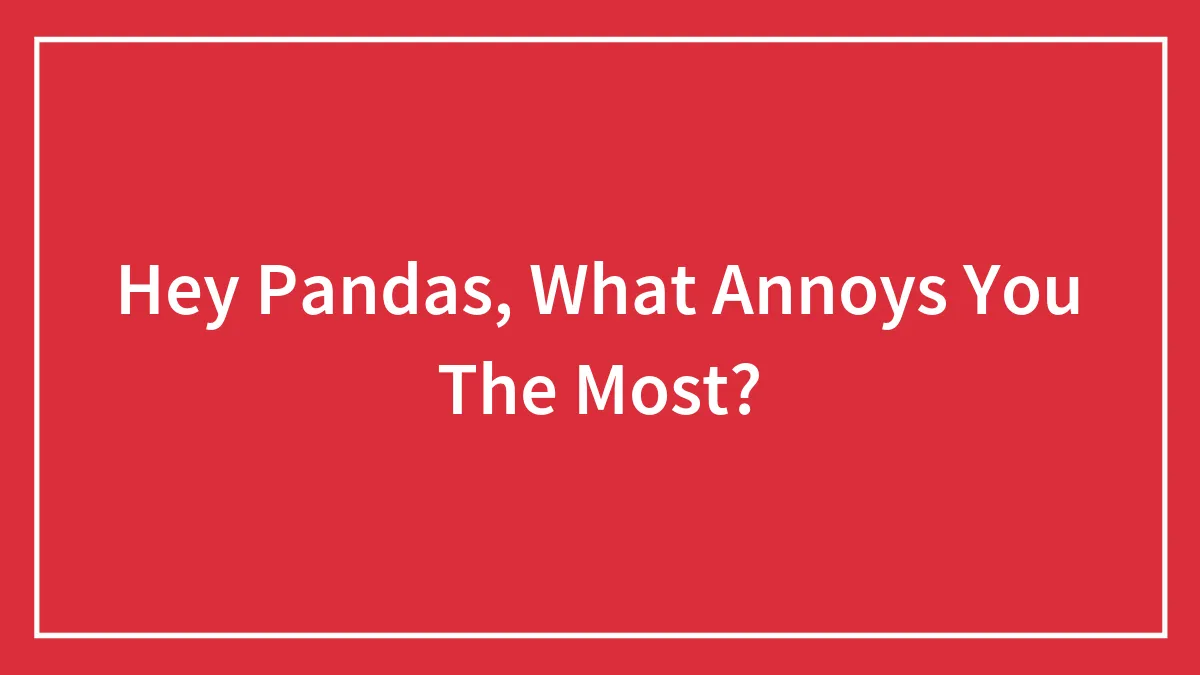 Hey Pandas, What Annoys You The Most? (Closed)