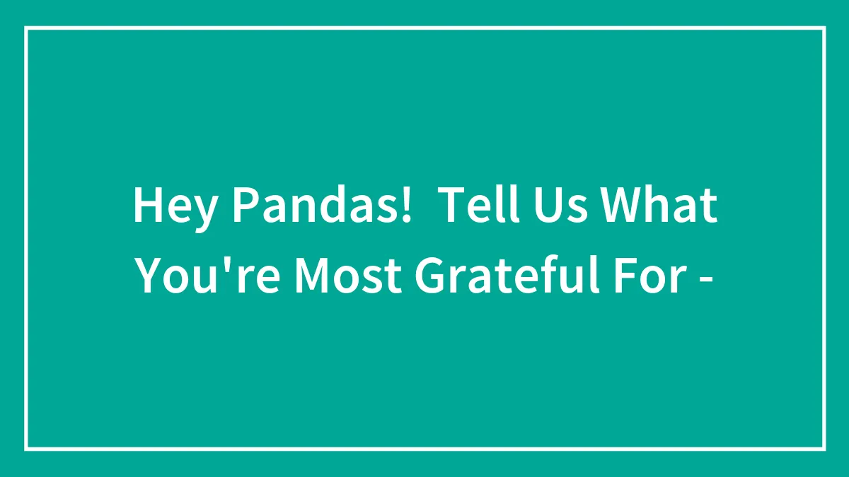 Hey Pandas, Tell Us What You're Most Grateful For