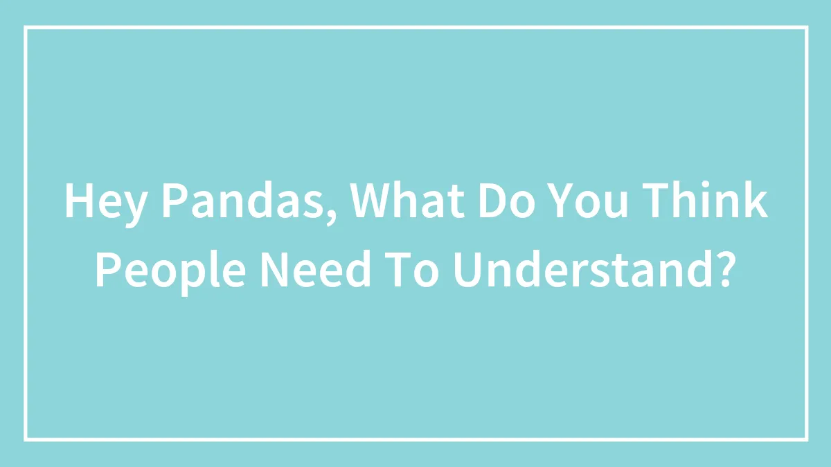 Hey Pandas, What Do You Think People Need To Understand?