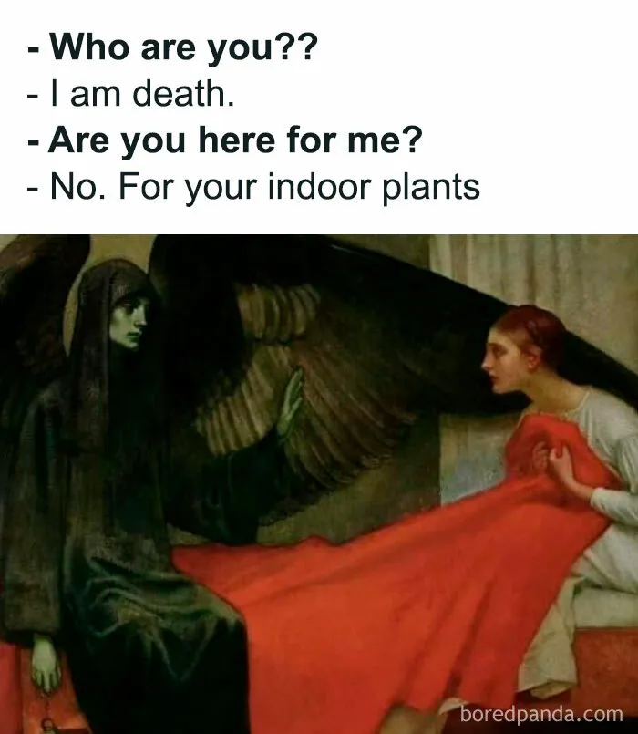 50 Funny Memes That Classical Art Lovers Might Especially Enjoy