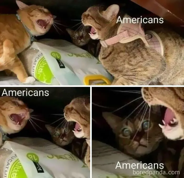 “Look, I Have A Meme To Show You”: 50 Funny Memes To Send To Your Friends