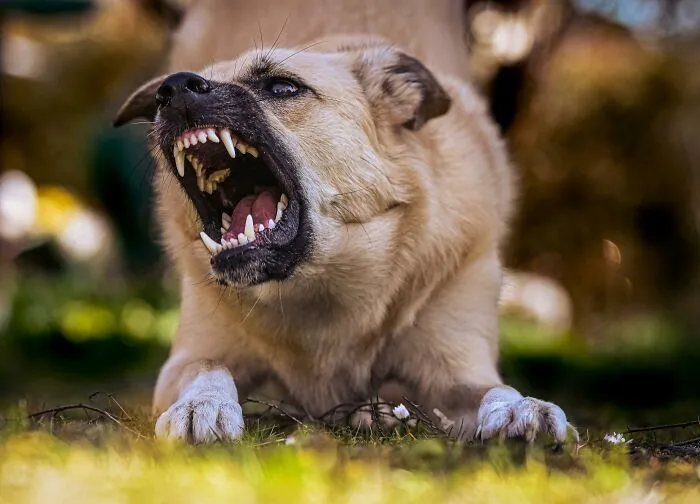 30 People Share “The Incident” That Ruined Their Friend Groups Forever