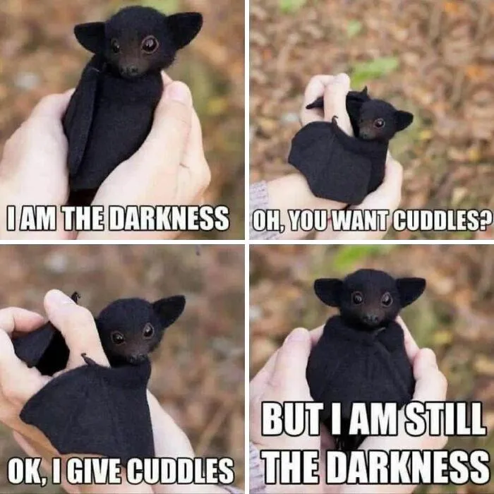 50 Funny And Awkward Animal Posts That Might Make Your Day Much Better