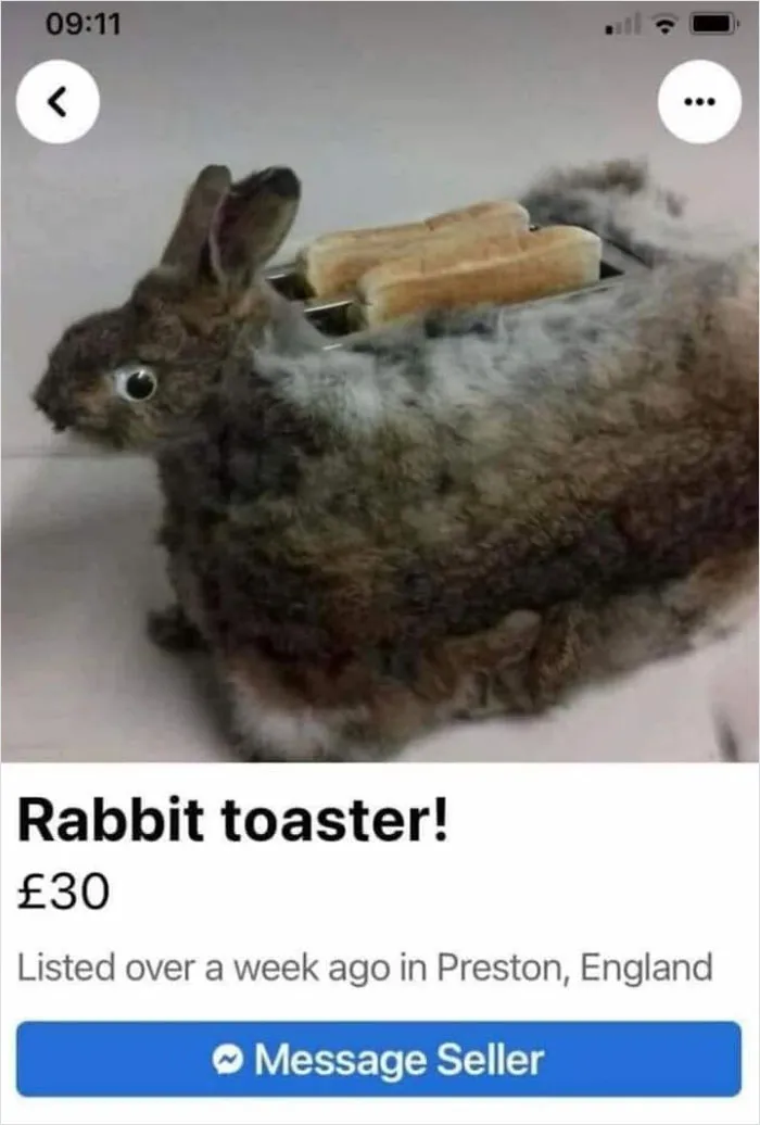 Tostador recubierto de conejo taxidermizado (mal)