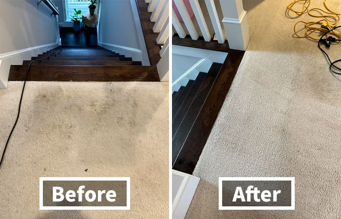 That Questionable Carpet Stain Will Practically Pack Its Bags And Leave After Meeting <a Style="Display:inline;" Href="Https://Www.amazon.com/Oxiclean-Large-Area-Carpet-Cleaner/Dp/B072qzh23k?crid=24m3xp1jcqh5w&dib=eyj2ijoimsj9.limunhy65slycoqwqck7zkiktqpygsgjq7a1vykl_cwe2a3sxipyydxyw56bdmywuqyk3psnkg_ou8n34iu8dkfcl2ecomexdfbzedk25dqzub1irv5eyslltvshkmiog-_ymhkbncgj-Z_m-Rgki_4530svycjilk_gvkmyy3hou6xxwqfc5rf5ixaeb_07yqypvcwlomdv5ttloosoftc4hnimhprcy-2njvpg9-8.5uxhzjeiitxpyqfbgijx0jev7mopukviwhdamqea5sy&dib_tag=se&keywords=carpet+cleanering&qid=1726130381&sprefix=carpet+cleanering%2caps%2c372&sr=8-10&linkcode=ll1&tag=bpantelope-20&linkid=891f7d1a0dd7787ec2d61d33cb3e2b4b&language=en_us&ref_=as_li_ss_tl" Target="_blank"><span Style="Font: Inherit; Color: #d74b1f;"> Oxiclean Carpet Cleaner </Span>
