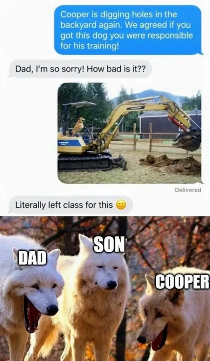 “When Your Pet Turns Your Lawn into a Construction Site”