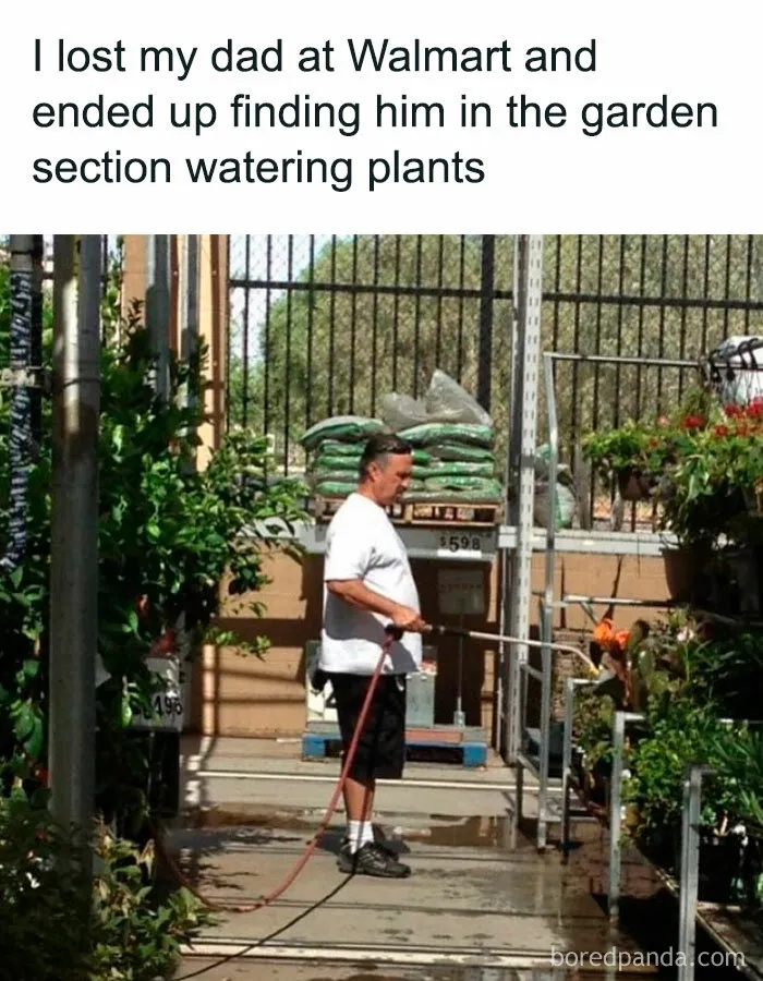  Dad’s Natural Habitat: The Lawn and Garden Section 