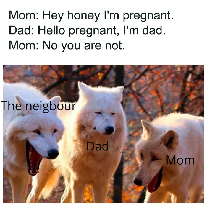 Classic Dad Joke Gone Wrong: When Parenting Gets Hilarious and Awkward