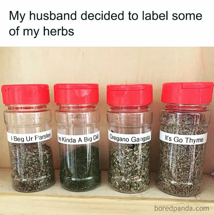 Dad meme with spice jar puns: "I Beg Ur Parsley," "I'm Kinda A Big Dill," "Oregano Gangsta," "It's Go Thyme."