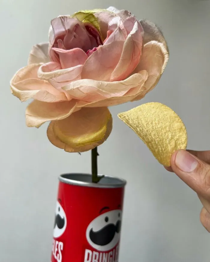 My 33 Creative Combinations Of Two Unrelated Objects (New Pics)