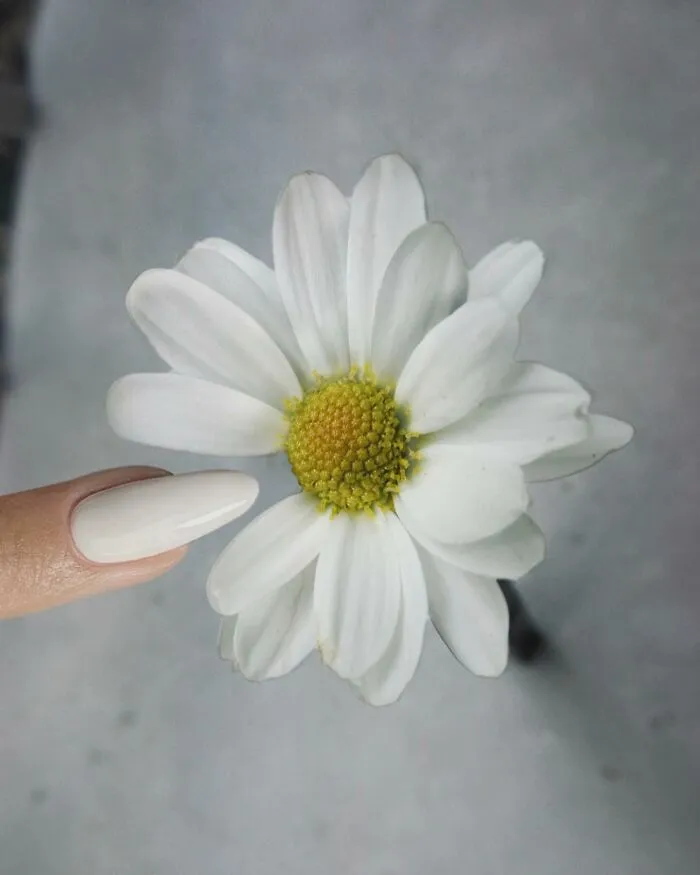 My 33 Creative Combinations Of Two Unrelated Objects (New Pics)