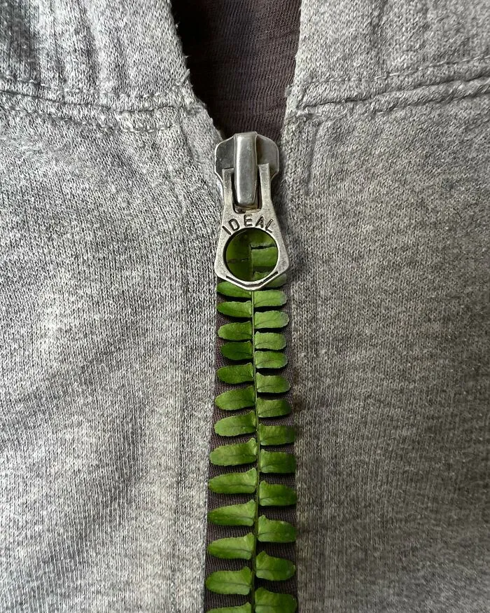 My 33 Creative Combinations Of Two Unrelated Objects (New Pics)