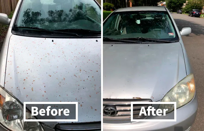 Keep Your Car Sparkling With This Powerful <a Style="Display:inline;" Href=" Https://Www.amazon.com/Dp/B01amj5o22?ascsubtag=7716194%2c41%2c45%2cd%2c0%2c0%2cbf-Web-Hf%2c900%3a2%3b974%3a3%3b1125%3a3%3b1338%3a1%2c49908084%2c0%2c0%2c0&btn_ref=srctok-81292d4ab8444bea&th=1&linkcode=ll1&tag=bplobster-20&linkid=e1e1b9249da038bd50d6974df210edbb&language=en_us&ref_=as_li_ss_tl " Target="_blank"><span Style="Font:inherit;color:#d74b1f;"> Bug And Tar Remover Concentrate</Span>!