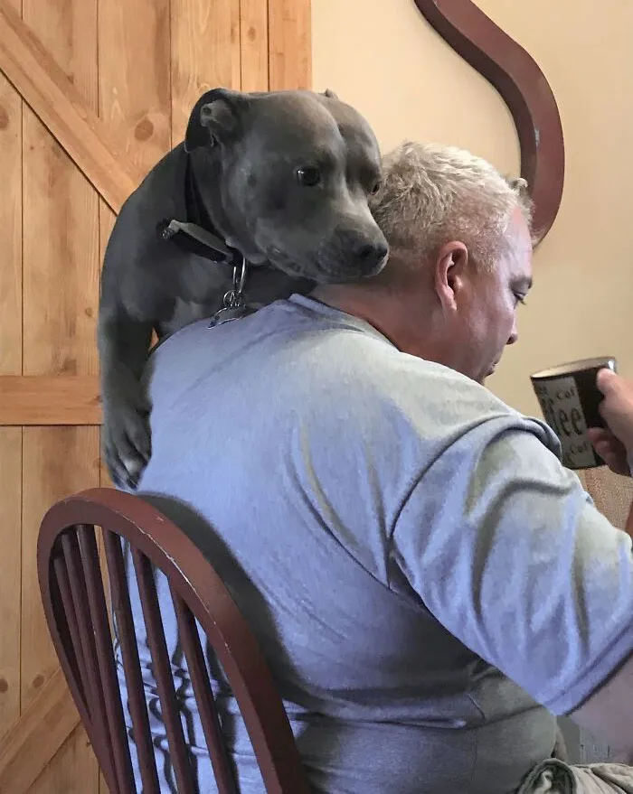He Thinks He Is A Cat