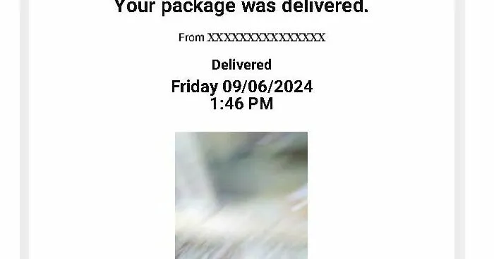 Hey Pandas, Show Us Your Most Ridiculous Photo Of A Delivered Package (Closed)
