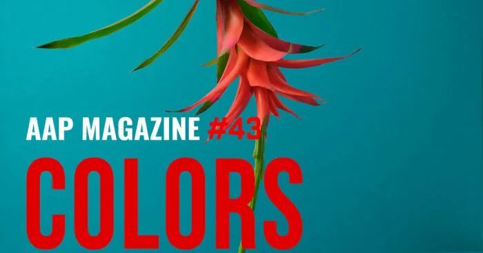 Launch Colors Photo Contest
