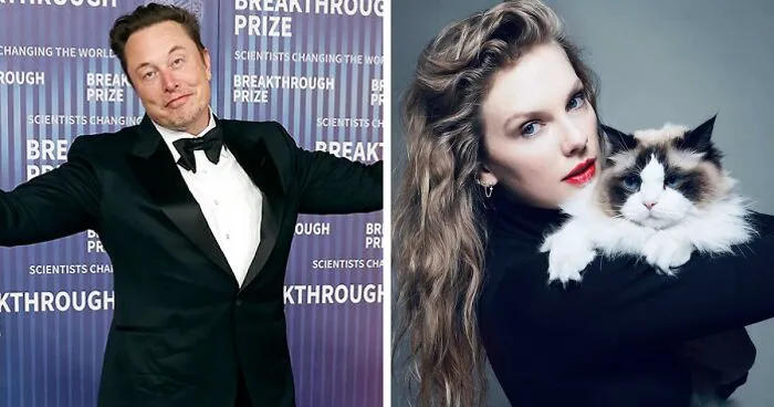"Fine Taylor … You Win": Elon Musk Offers To Impregnate Taylor Swift