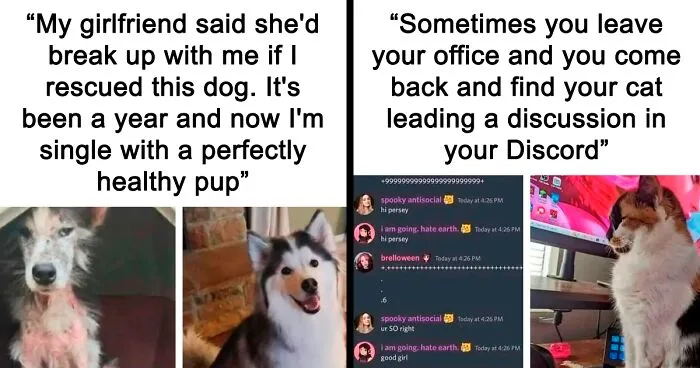 50 Wholesome Memes To Remind You That The World Isn’t All Bad (New Pics)