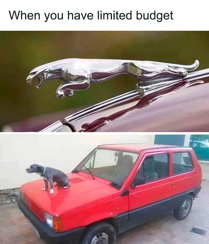 50 Of The Most Hilarious Car-Related Memes For Drivers To Enjoy