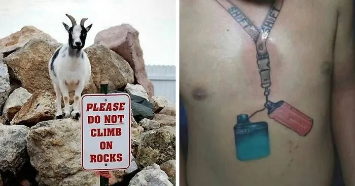 50 Of The Most Cursed Images For People Who Have A Higher Tolerance For Bizarreness (New Pics)