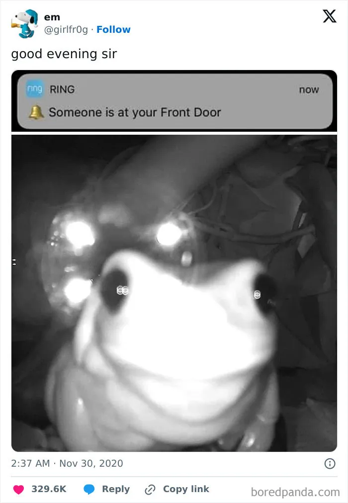 Let Them In