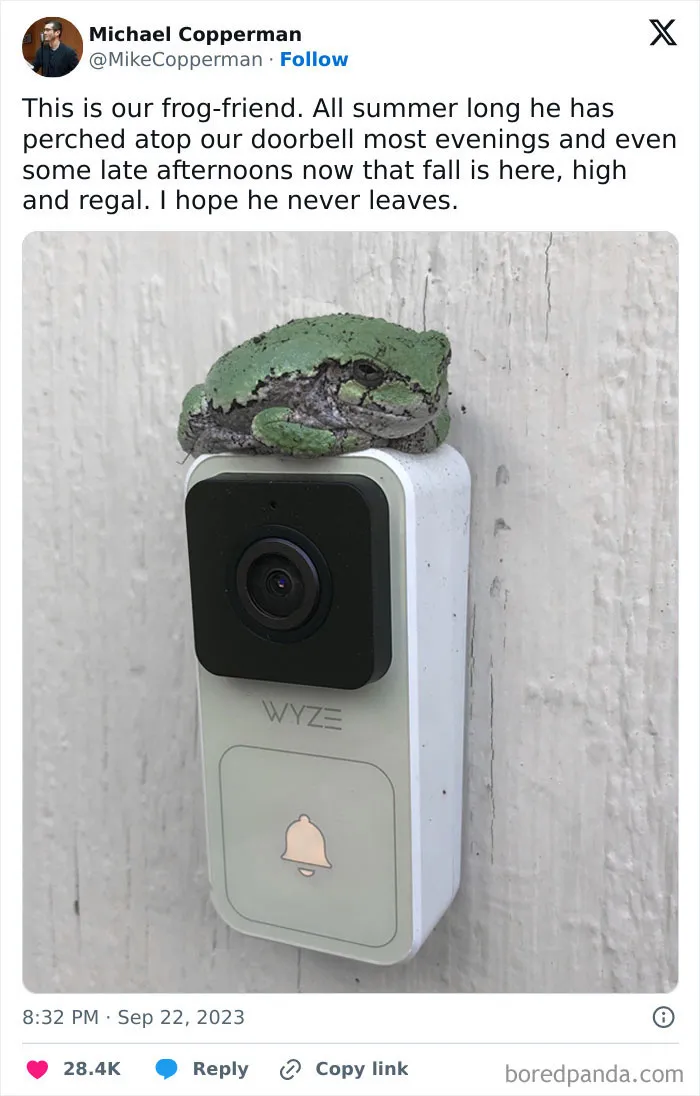 That’s So Cool