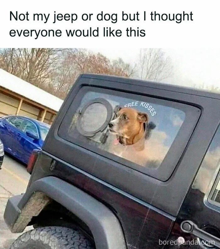If You Like Dogs More Than People, You May Enjoy These 50 Heartwarming Memes