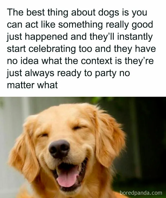 If You Like Dogs More Than People, You May Enjoy These 50 Heartwarming Memes