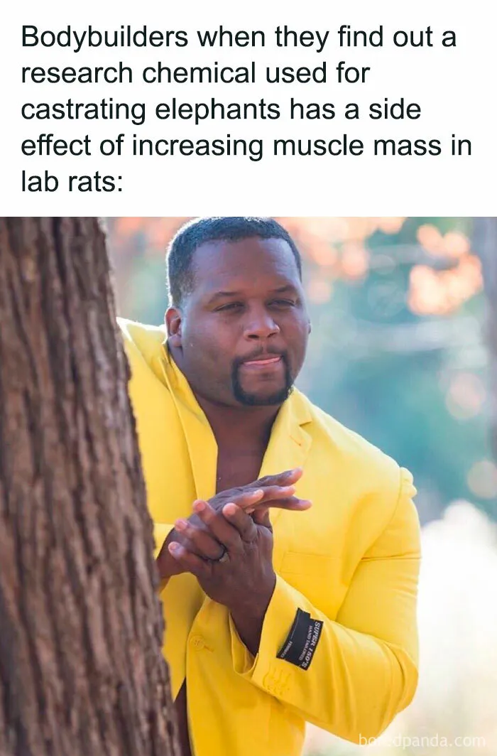 30 Hilarious Images That Perfectly Sum Up What Health Nuts Regularly Go Through