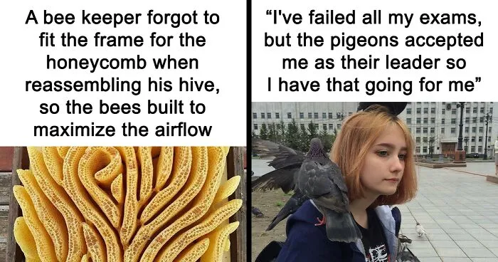 Humorous Memes For When You Need A Short Break From This Thing Called Life (50 Pics)