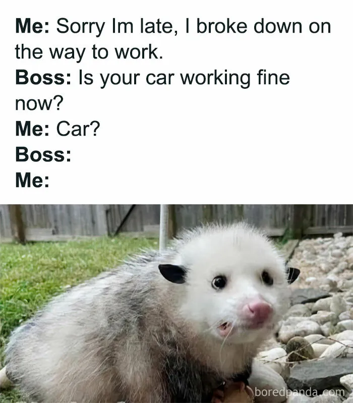 “Look, I Have A Meme To Show You”: 50 Funny Memes To Send To Your Friends