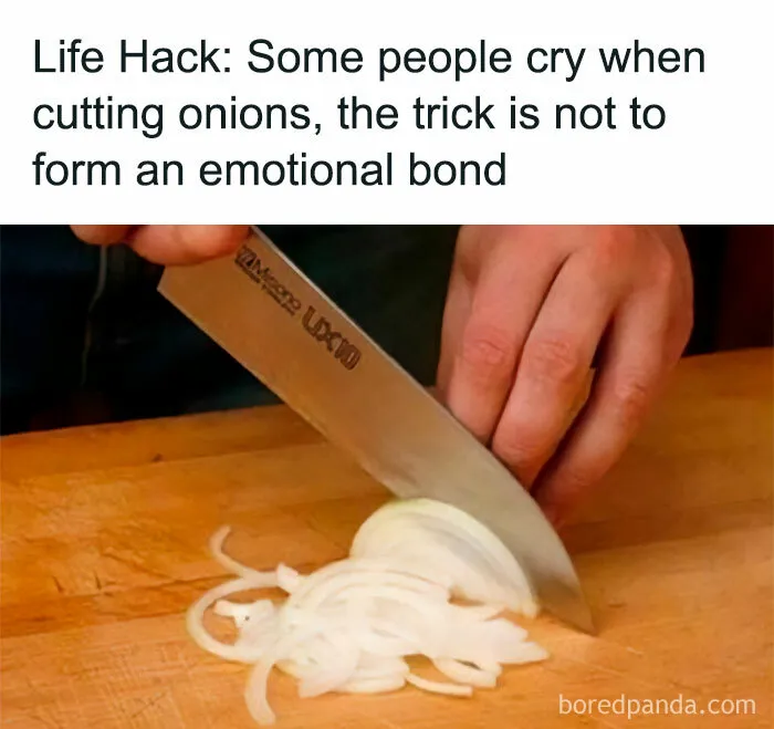 “Look, I Have A Meme To Show You”: 50 Funny Memes To Send To Your Friends