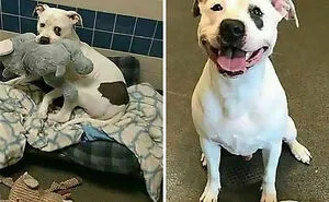 50 Heartwarming Stories To Restore Your Faith In Humanity