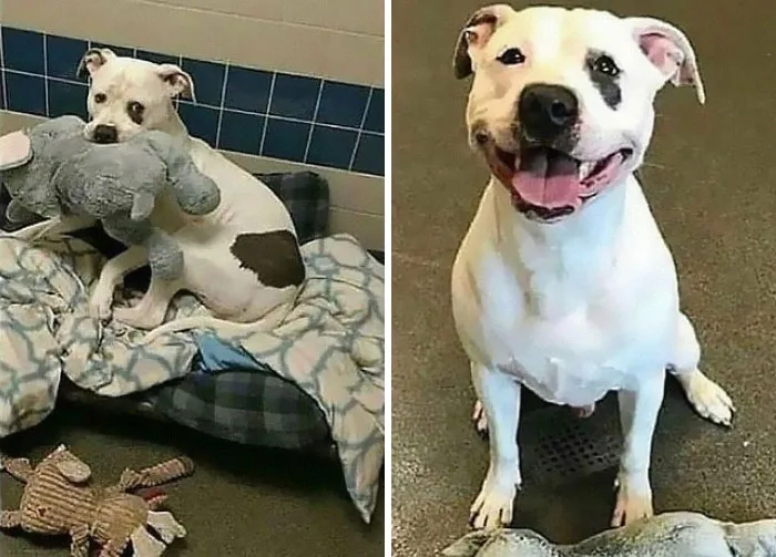 25 Historias conmovedoras para recuperar la fe en la humanidad