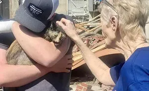 50 Heartwarming Stories To Restore Your Faith In Humanity